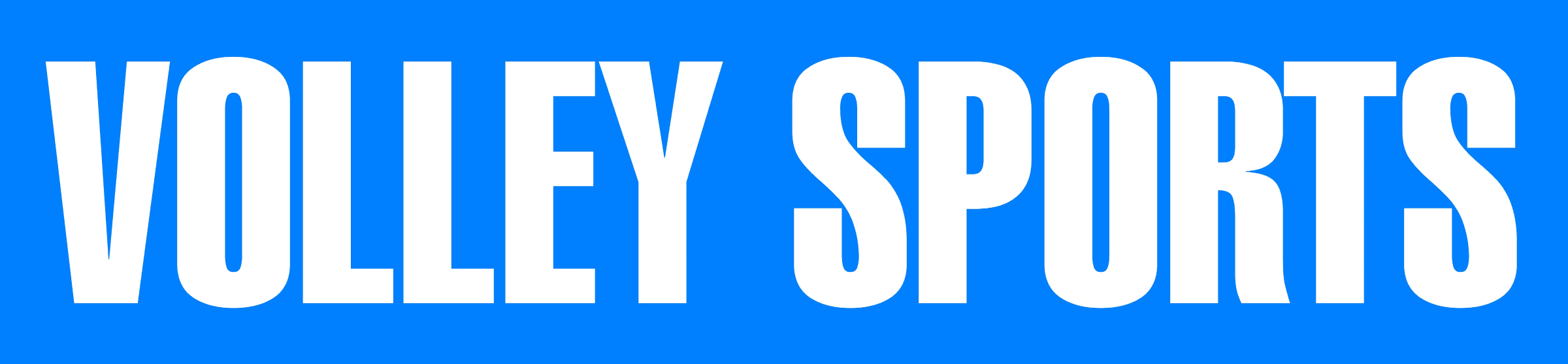 VolleySports banner