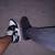 Edwar Garcia