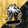 D.S TECHNO GAMER