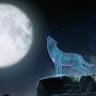 NIGHT WOLF GAMING