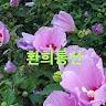 환희통신1tv
