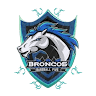 Broncos Baseball 5