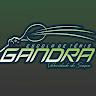 MARCELO GANDRA