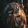 Pranay U97