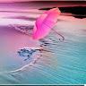 MD:Shakil Hossin