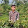 Arafat Hossen Bhuiyan