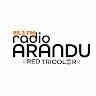 RADIO ARANDU FM 98.3