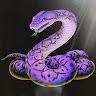 Shine Adder