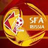 Домодедово Sfa
